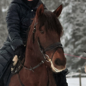 Majatalon Mimmi. Tamma